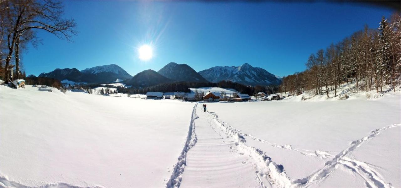 Ferienwohnungen Seraphine Und Theresia Grundlsee Extérieur photo