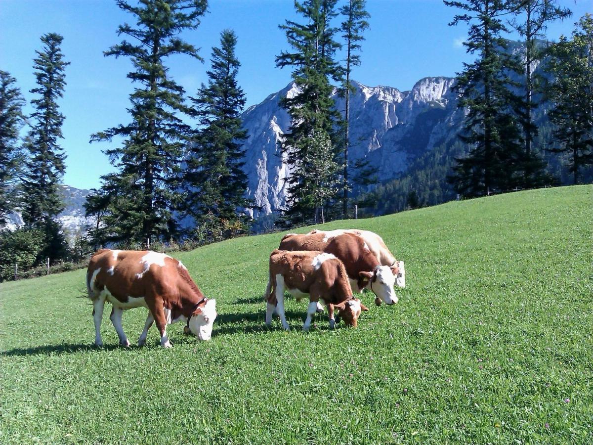 Ferienwohnungen Seraphine Und Theresia Grundlsee Extérieur photo