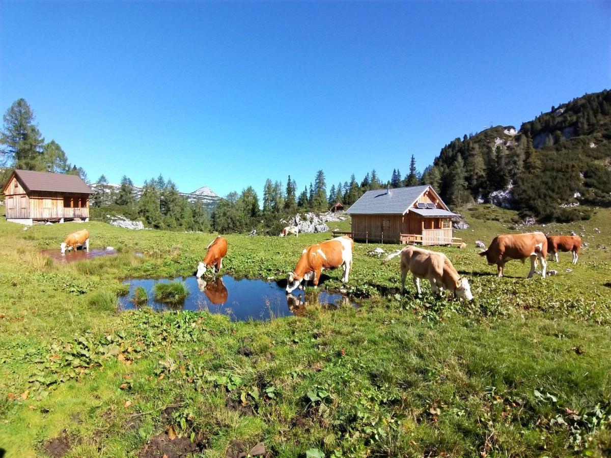 Ferienwohnungen Seraphine Und Theresia Grundlsee Extérieur photo